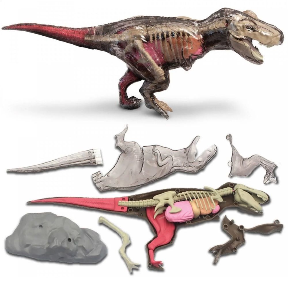 Discovery #Mindblown 4D Vision Great T-Rex Anatomy Kit, Ages 6+
